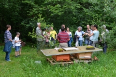 Bienenkisten / Sommer 2016 / Seidlhof