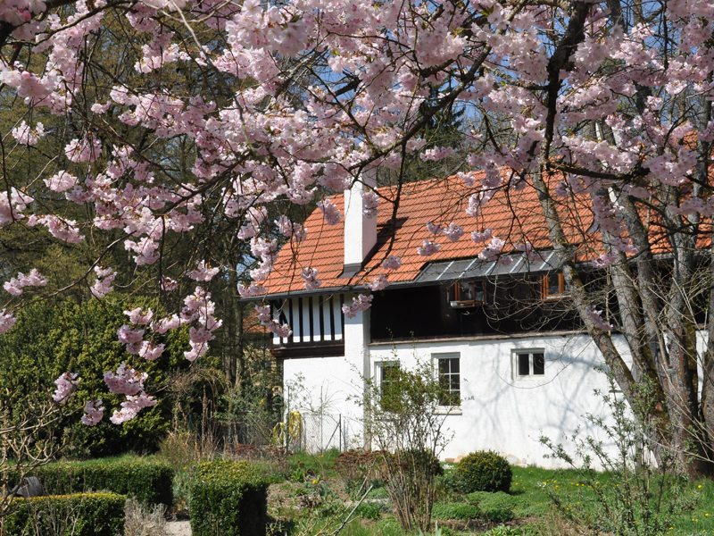 Altes Fachwerkhaus mit alter Hofküche / Frühjahr 2016 / Seidlhof