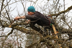 Obstbaumpfleger - Aufbaukurs / März 2017 / Seidlhof